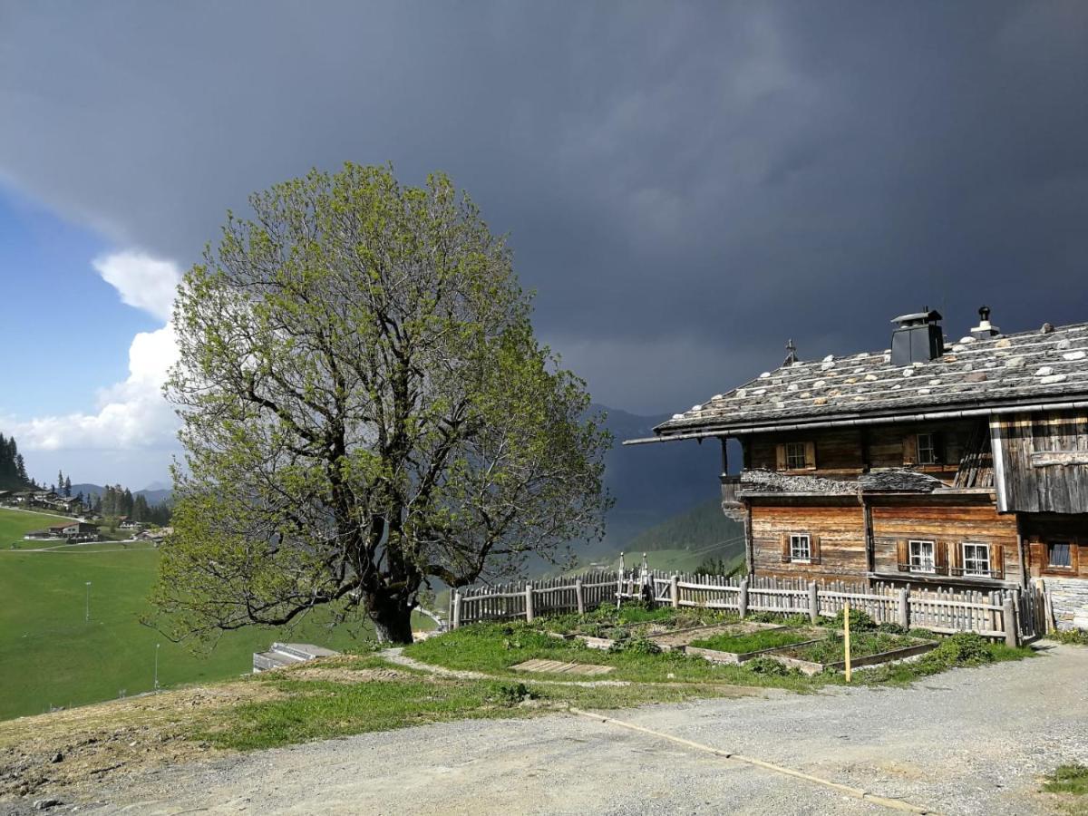 Appartements Alpenblick Soell Εξωτερικό φωτογραφία